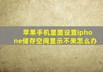 苹果手机里面设置iphone储存空间显示不来怎么办