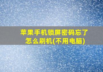 苹果手机锁屏密码忘了怎么刷机(不用电脑)