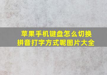 苹果手机键盘怎么切换拼音打字方式呢图片大全