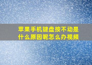 苹果手机键盘按不动是什么原因呢怎么办视频