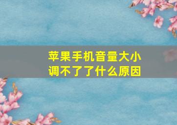 苹果手机音量大小调不了了什么原因