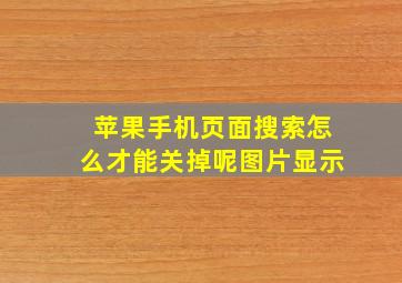 苹果手机页面搜索怎么才能关掉呢图片显示