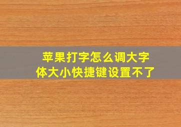 苹果打字怎么调大字体大小快捷键设置不了