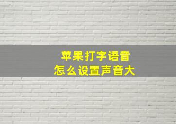 苹果打字语音怎么设置声音大