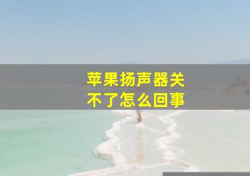 苹果扬声器关不了怎么回事