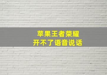 苹果王者荣耀开不了语音说话