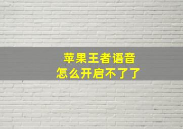 苹果王者语音怎么开启不了了