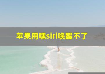 苹果用嘿siri唤醒不了