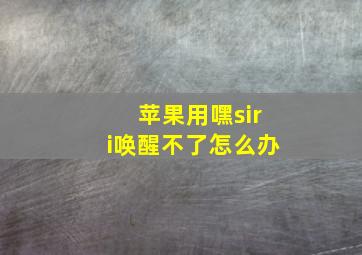 苹果用嘿siri唤醒不了怎么办