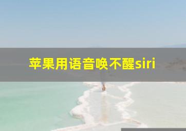 苹果用语音唤不醒siri