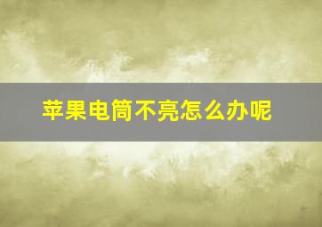 苹果电筒不亮怎么办呢