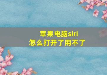 苹果电脑siri怎么打开了用不了