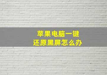 苹果电脑一键还原黑屏怎么办