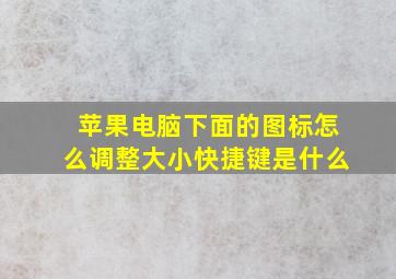 苹果电脑下面的图标怎么调整大小快捷键是什么