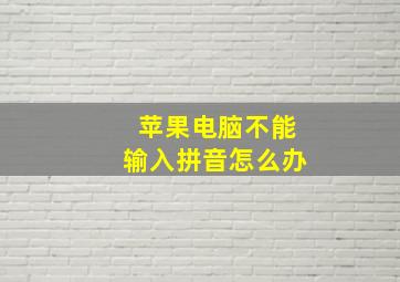 苹果电脑不能输入拼音怎么办