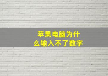 苹果电脑为什么输入不了数字