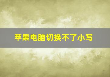 苹果电脑切换不了小写