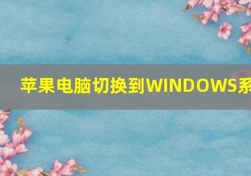 苹果电脑切换到WINDOWS系统