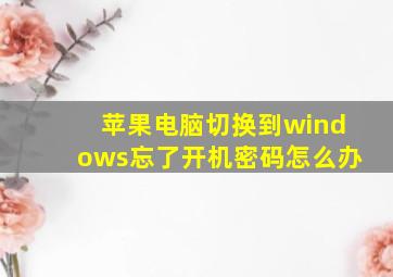 苹果电脑切换到windows忘了开机密码怎么办