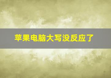 苹果电脑大写没反应了