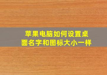 苹果电脑如何设置桌面名字和图标大小一样