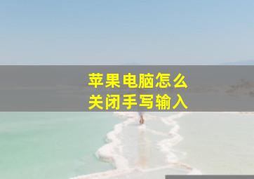 苹果电脑怎么关闭手写输入