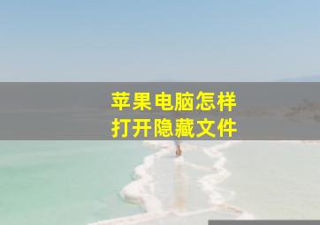 苹果电脑怎样打开隐藏文件