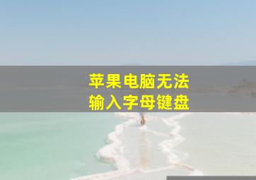 苹果电脑无法输入字母键盘