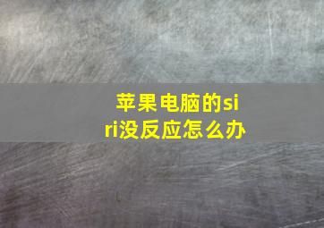 苹果电脑的siri没反应怎么办