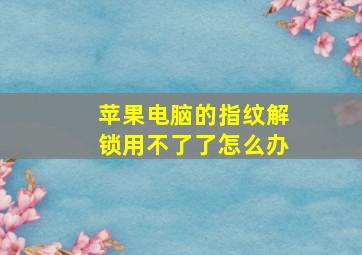 苹果电脑的指纹解锁用不了了怎么办