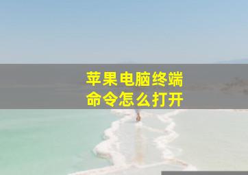 苹果电脑终端命令怎么打开