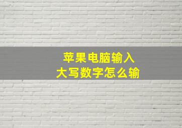 苹果电脑输入大写数字怎么输