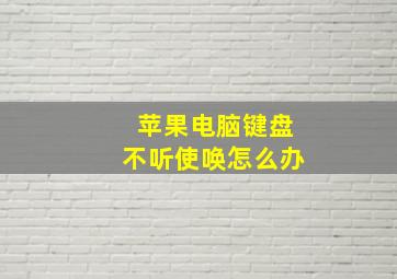 苹果电脑键盘不听使唤怎么办