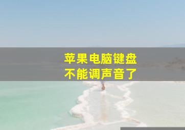 苹果电脑键盘不能调声音了