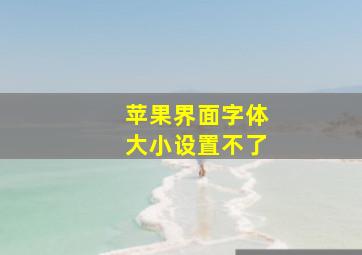 苹果界面字体大小设置不了