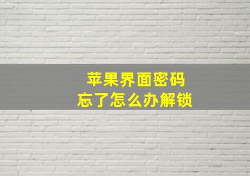 苹果界面密码忘了怎么办解锁