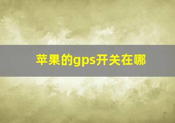 苹果的gps开关在哪