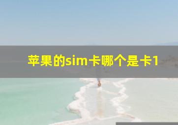 苹果的sim卡哪个是卡1