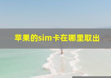 苹果的sim卡在哪里取出