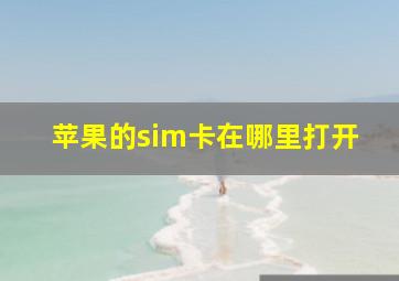 苹果的sim卡在哪里打开