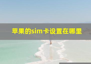 苹果的sim卡设置在哪里