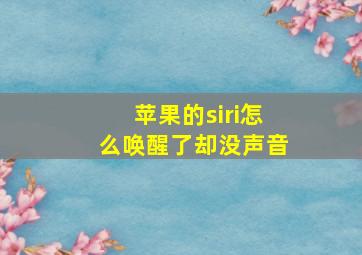 苹果的siri怎么唤醒了却没声音