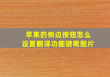 苹果的侧边按钮怎么设置翻译功能键呢图片