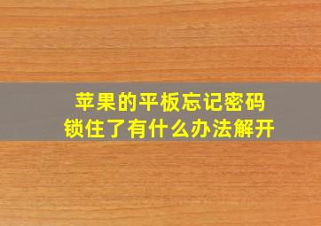 苹果的平板忘记密码锁住了有什么办法解开