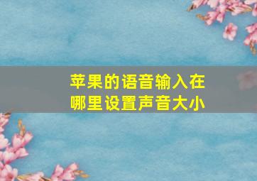 苹果的语音输入在哪里设置声音大小