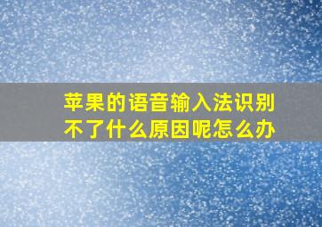 苹果的语音输入法识别不了什么原因呢怎么办