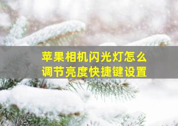 苹果相机闪光灯怎么调节亮度快捷键设置