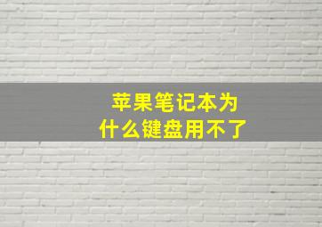 苹果笔记本为什么键盘用不了