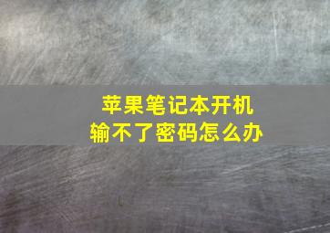 苹果笔记本开机输不了密码怎么办