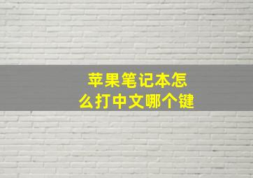 苹果笔记本怎么打中文哪个键